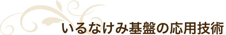 いるなけみ基盤の応用技術