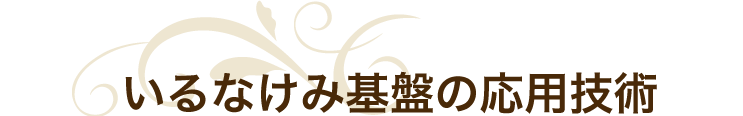 いるなけみ基盤の応用技術